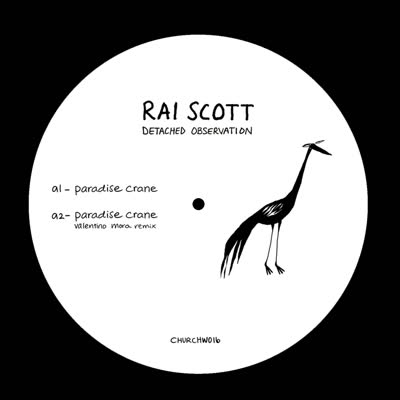 Rai Scott/DETACHED OBSERVATION EP 12"
