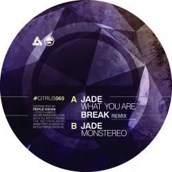 Jade/WHAT YOU ARE (BREAK REMIX) 12"