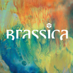 Brassica/HAYAT ZOR EP 12"