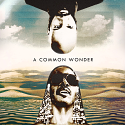 Common vs S Wonder/COMMON WONDER DLP