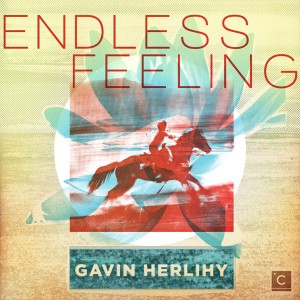 Gavin Herlihy/ENDLESS FEELING 12"