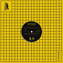 Synaptic Voyager/RISE EP 12"