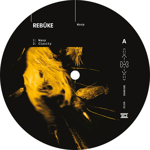 Rebuke/WASP 12"