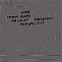 Hird/FROM DARK TO LIGHT 12"