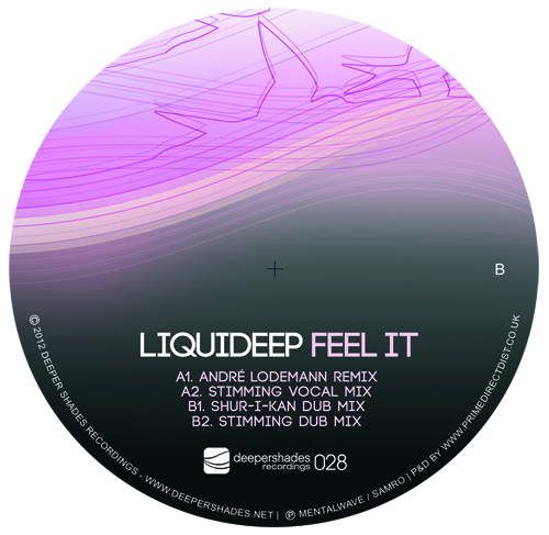 Liquideep/FEEL IT 12"