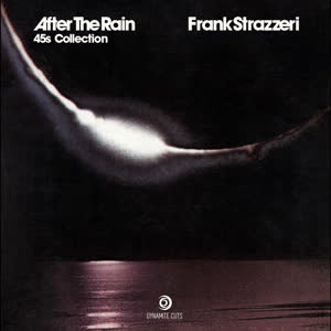 Frank Strazzeri/AFTER THE RAIN 45"s D7"
