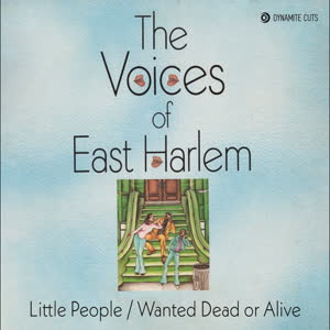 Voices Of East Harlem/LITTLE PEOPLE 7"