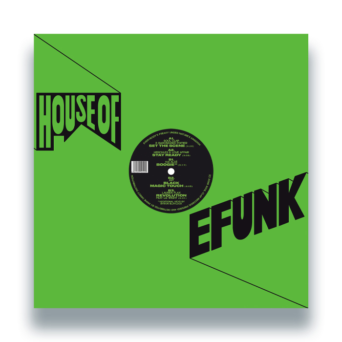 Various/HOUSE OF EFUNK VOL. 5 (2026) 12"