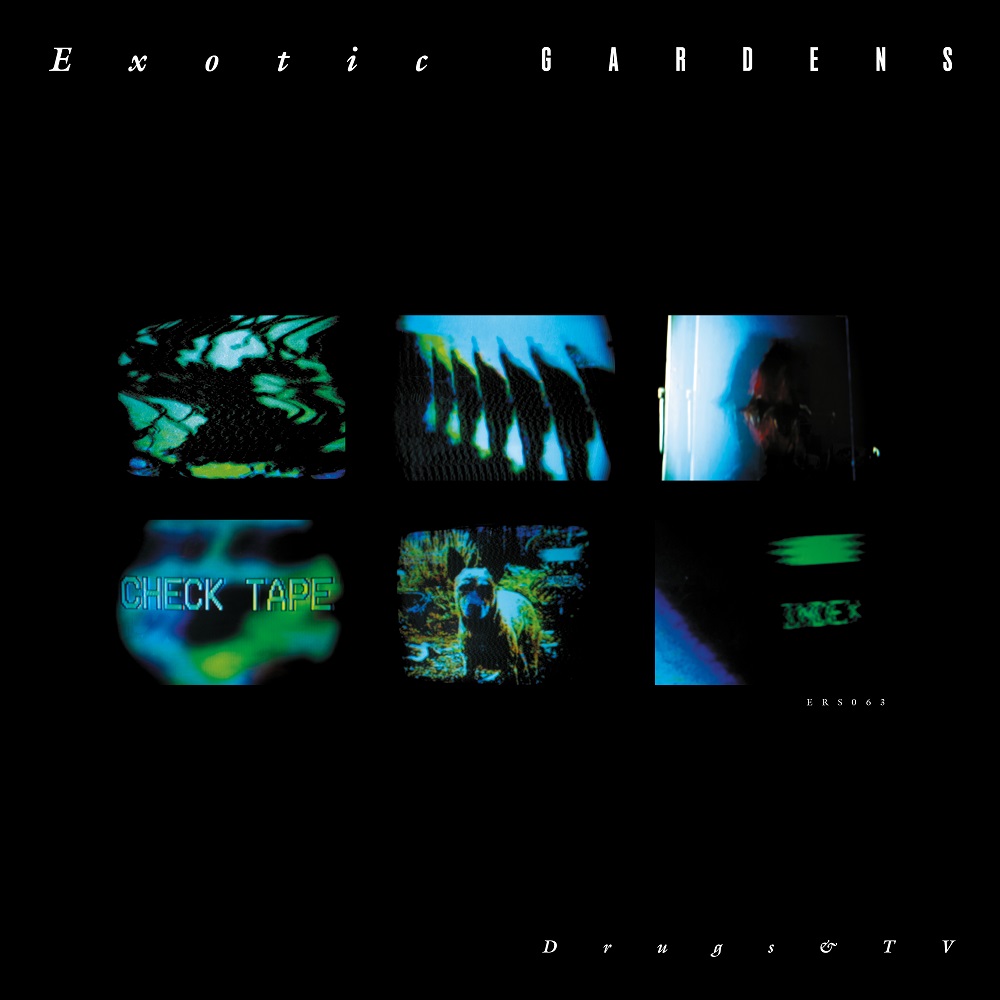Exotic Gardens/DRUGS & TV 12"