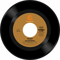 Blackbyrds/REGGINS & BLACKBYRDS THEME 7"