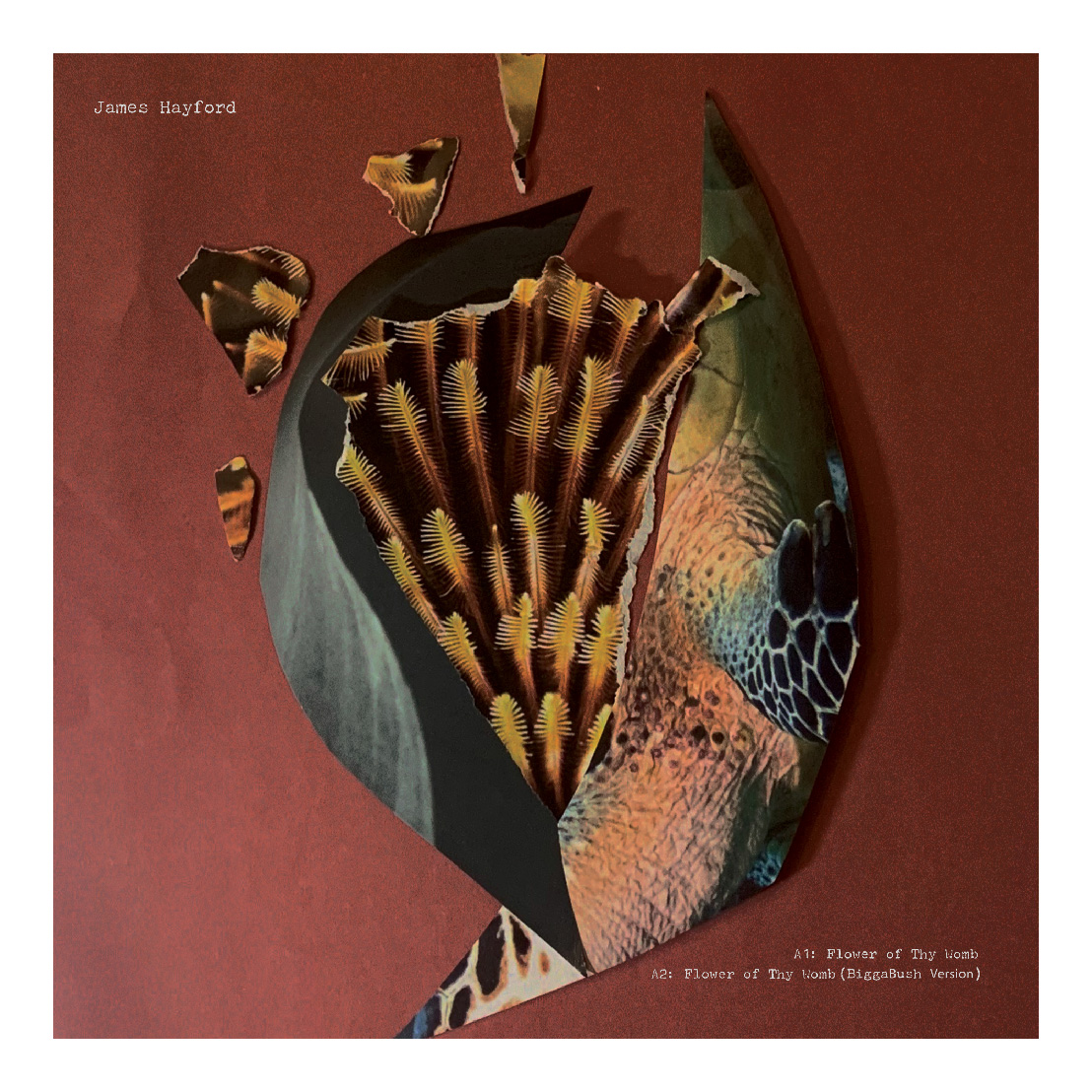 James Hayford & BiggaBush/SPLIT EP 12"