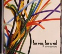 Big Bud/CONNECTIONS CD