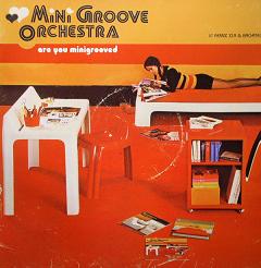 Mini Groove Orchestra/ARE U..? 12"