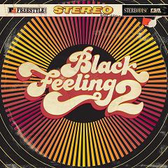 Various/BLACK FEELING VOLUME 2 LP
