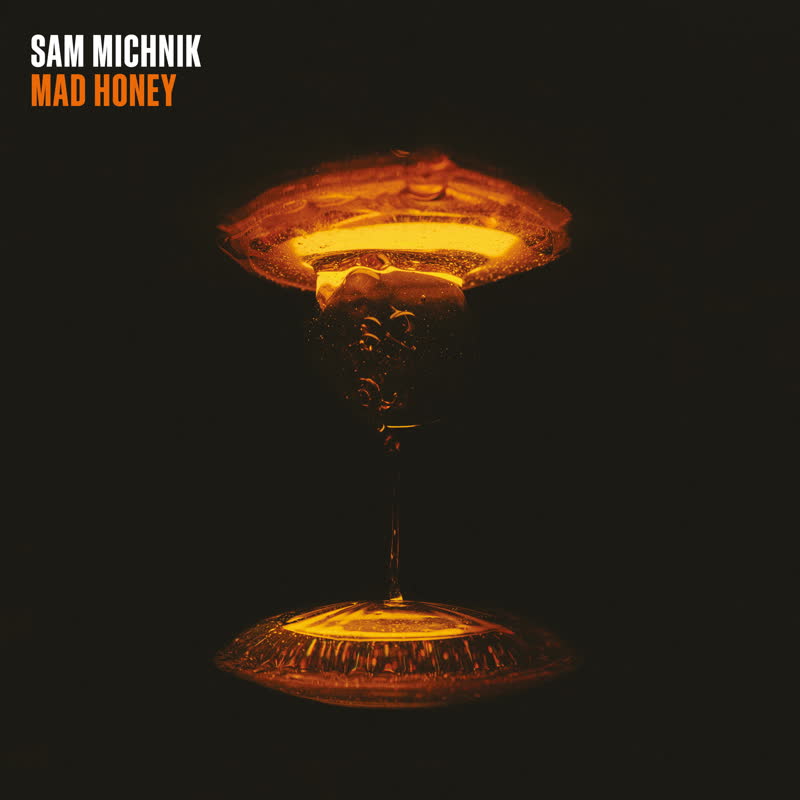 Sam Michnik/MAD HONEY EP 12"