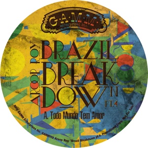 Aroop Roy/BRAZIL BREAKDOWN PT. 4 12"