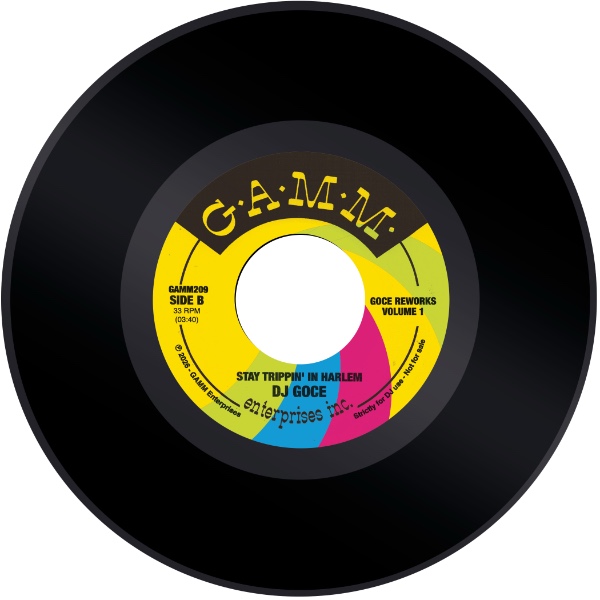 DJ Goce/GAMM REWORKS VOL. 1 7"