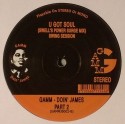 Various/GAMM DOIN' JAMES VOL. 2 EP 12"