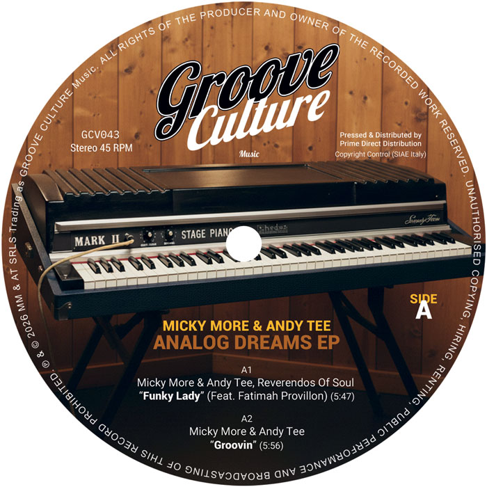 Micky More & Andy Tee/ANALOG DREAMS 12"
