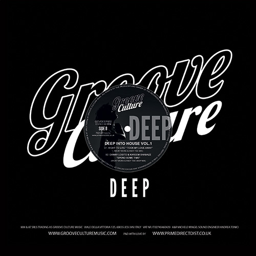 Various/DEEP INTO HOUSE VOL 1 EP 12"