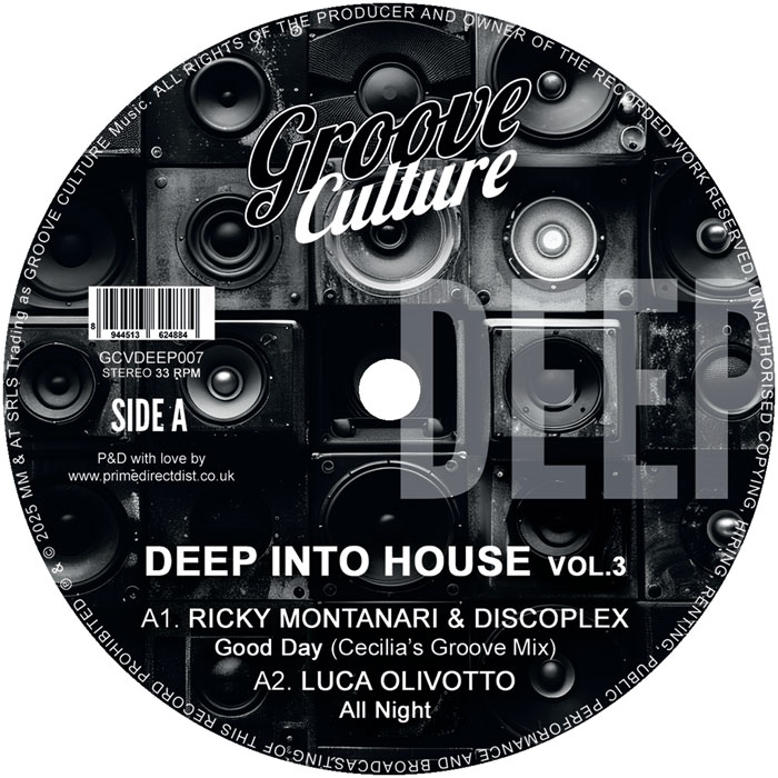 Various/DEEP INTO HOUSE VOL 3 EP 12"