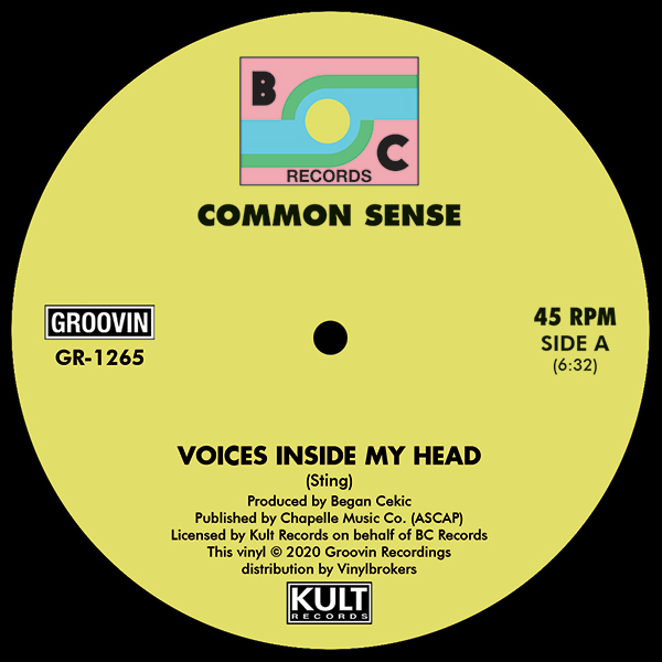 Common Sense/VOICES INSIDE MY HEAD 12"