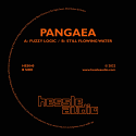 Pangaea/FUZZY LOGIC 12"