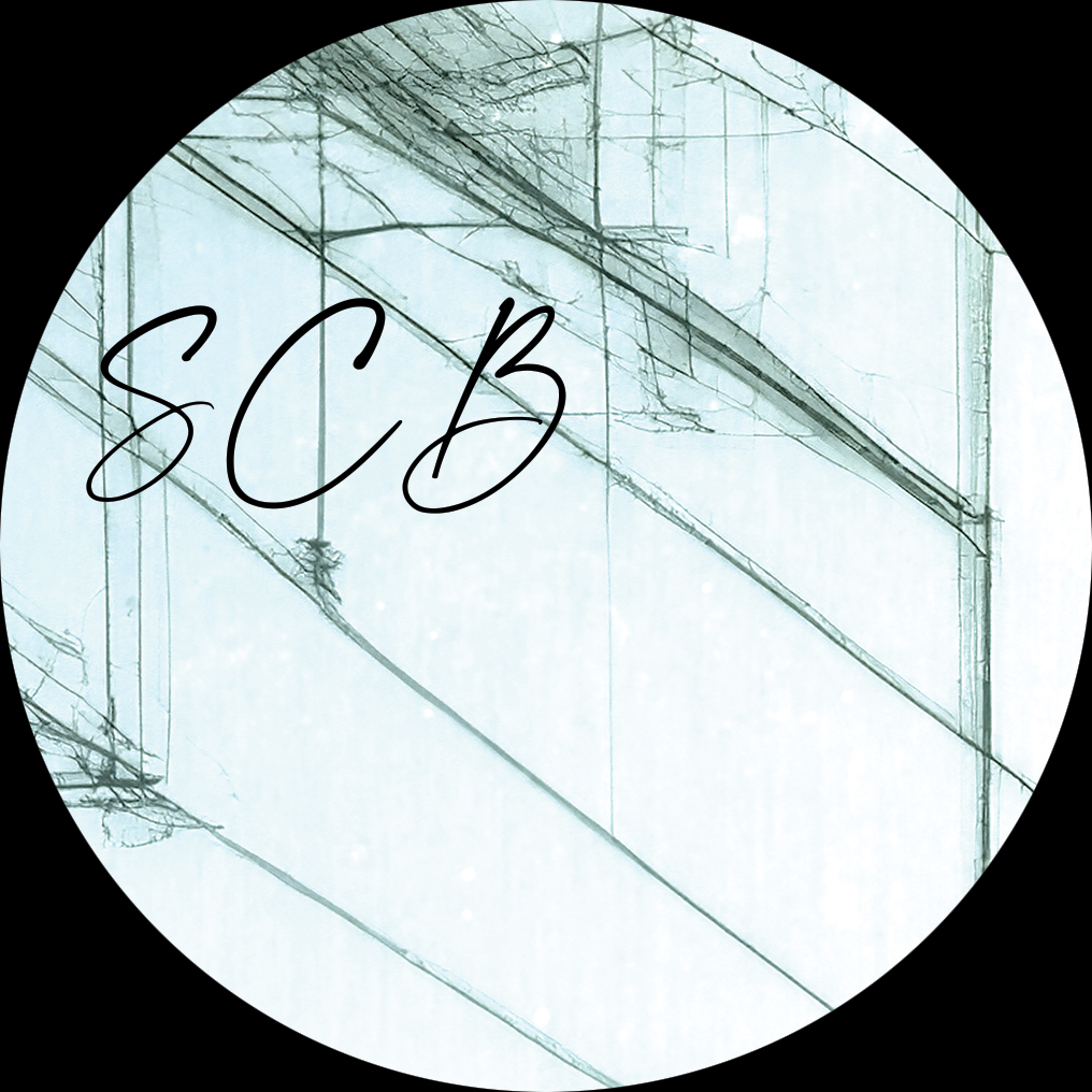 SCB/LOSS (MR. G's RAW DUB) 12"