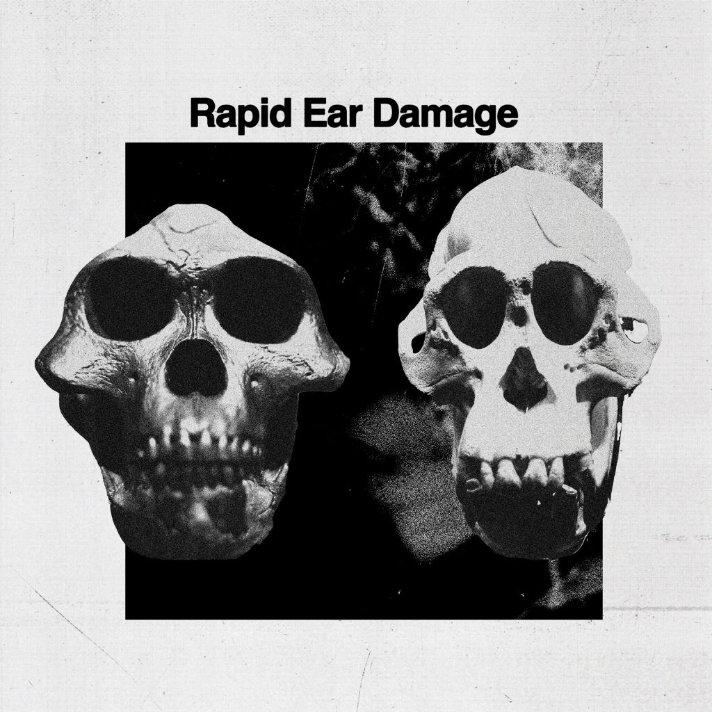 Rapid Ear Damage/R.E.D. LP
