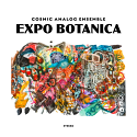 Cosmic Analog Ensemble/EXPO BOTANICA LP