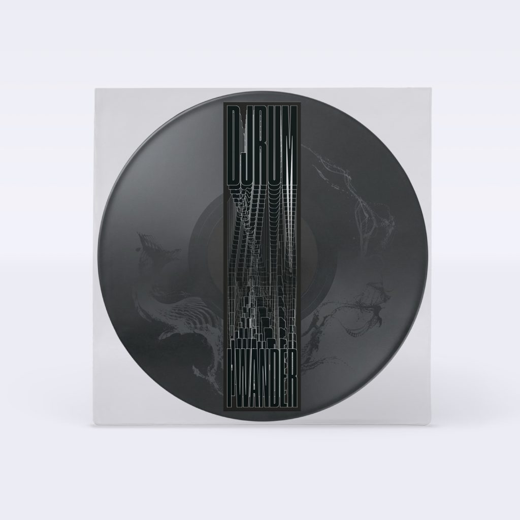 Djrum/I WANDER (ETCHED PICTURE DISC) 12"