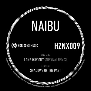 Naibu/LONG WAY OUT (SURVIVAL REMIX) 12"