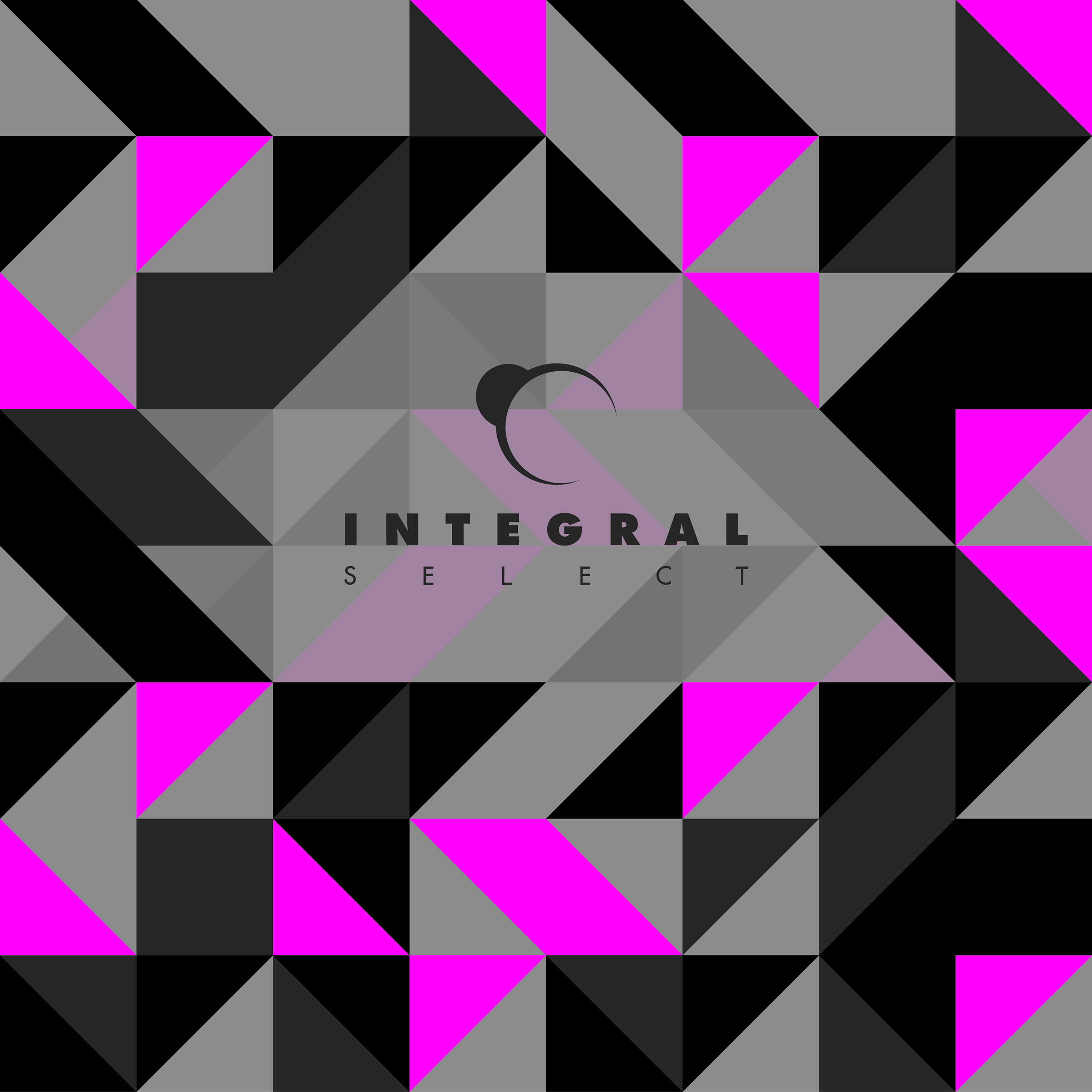 Various/INTEGRAL SELECT CD