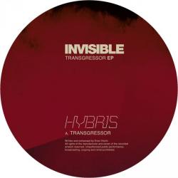 Hybris/TRANSGRESSOR EP D12"