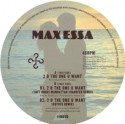 Max Essa/2 B THE ONE YOU WANT 12"