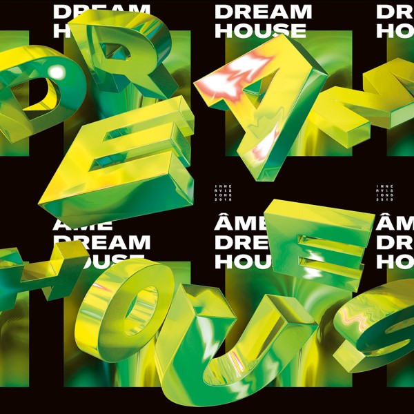 Ame/DREAM HOUSE REMIXES PT 2 12"