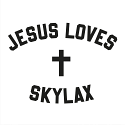 Various/JESUS LOVES SKYLAX VOL 1 12"