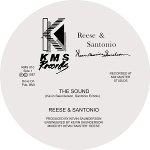Reese & Santonio/THE SOUND & HOW TO 12"