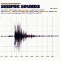Various/SEISMIC SOUNDS CD