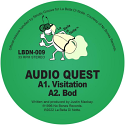 Audio Quest/LUMINOUS EGG 12"