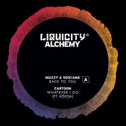 Various/LIQUICITY ALCHEMY SAMPLER 12"