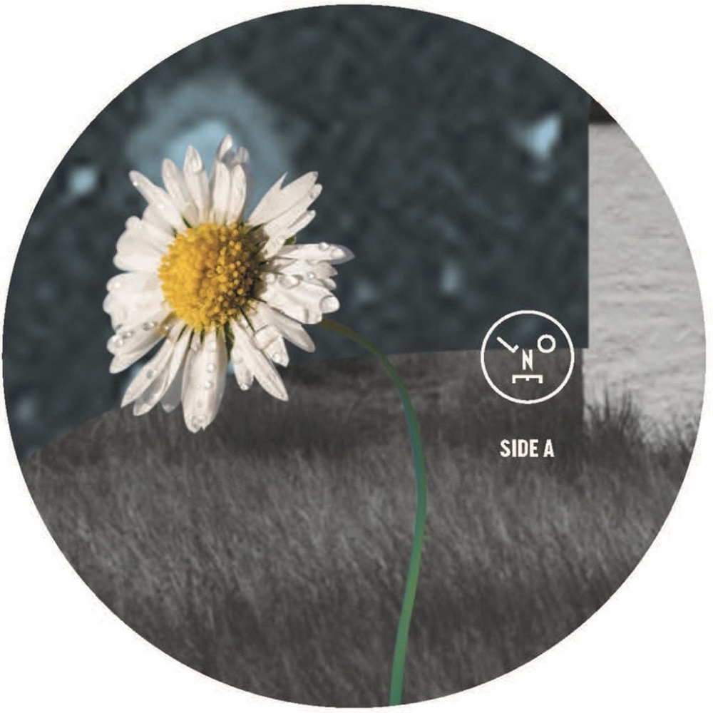 Sasha/HOLLOW SUN 12"