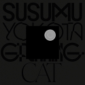 Susumu Yokota/GRINNING CAT (SKINTONE EDITION) DLP