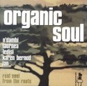 Various/ORGANIC SOUL 1 DLP