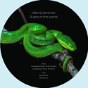 Mike Schommer/RULERS OF THIS WORLD 12"