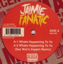 Jaimie Fanatic/WHATS HAPPENIN TO YA 12"