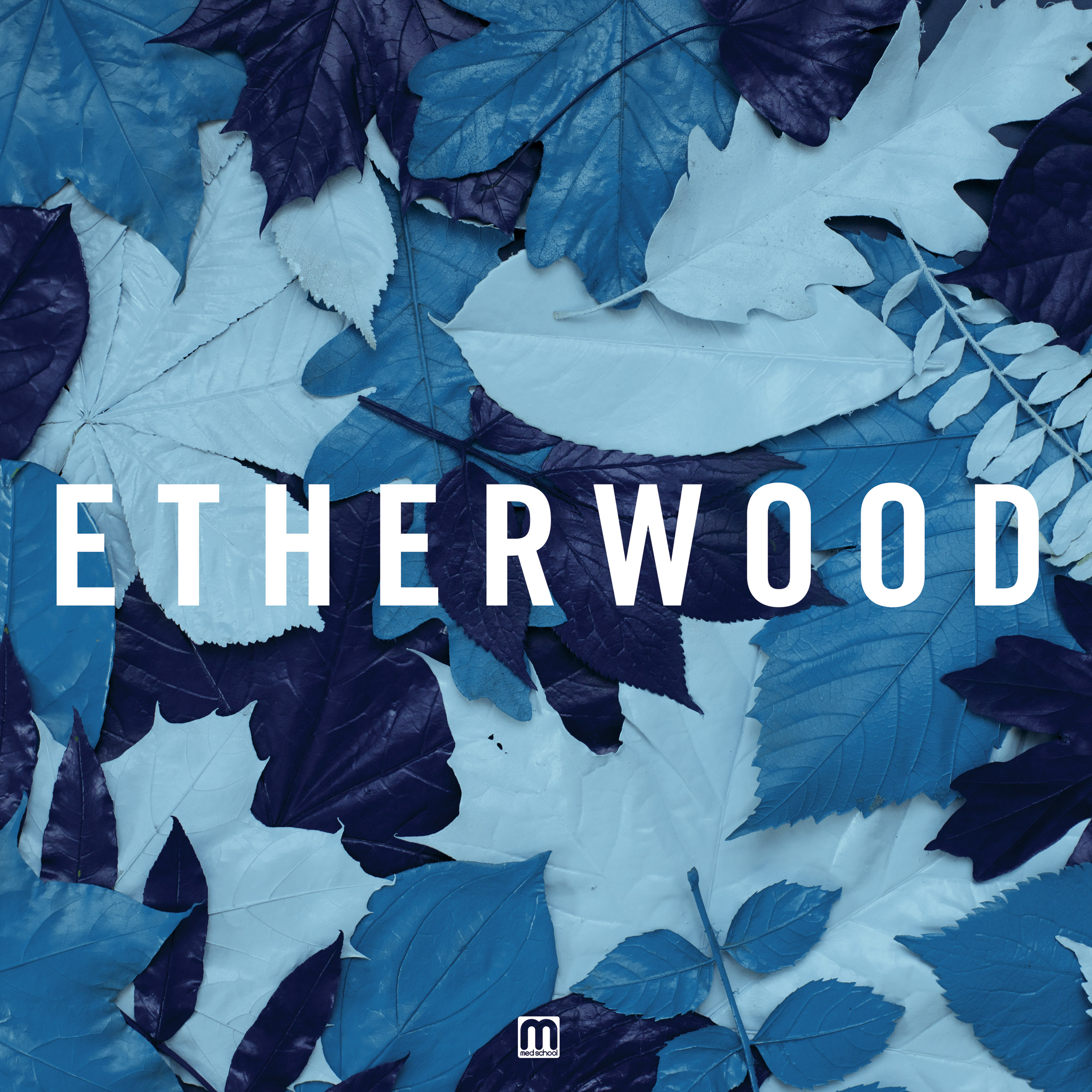 Etherwood/BLUE LEAVES CD