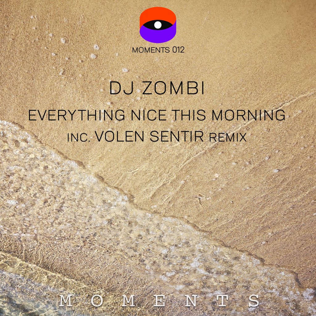 DJ Zombi/EVERYTHING NICE... 12"