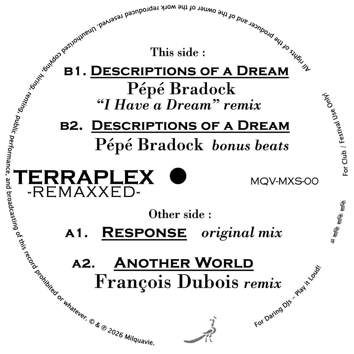 Terraplex/REMAXXED EP 12"