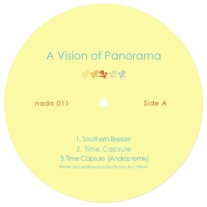 Vision Of Panorama/SOUTHERN BREEZE 12"